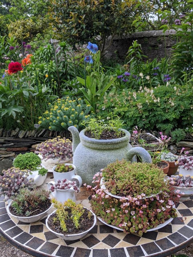 Drumfearne Guesthouse & Tearoom Carradale Exterior foto